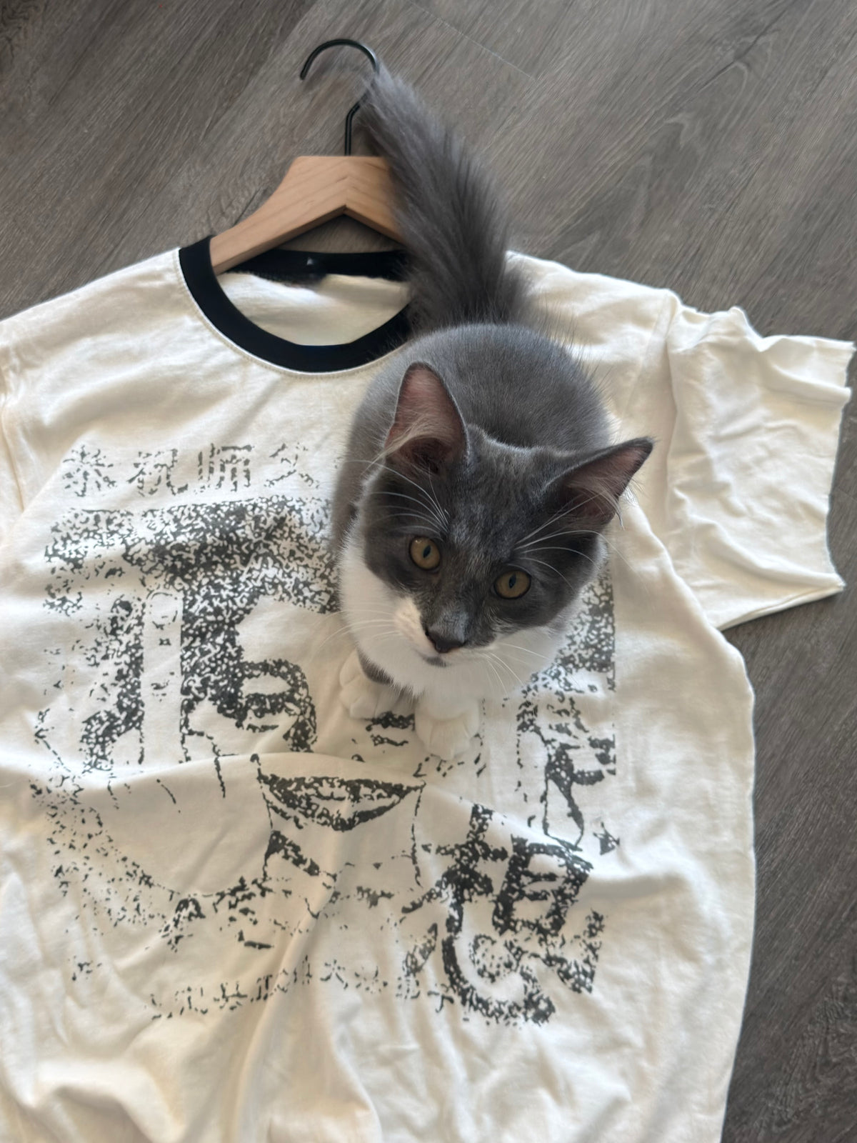 Japan Ringer Tee