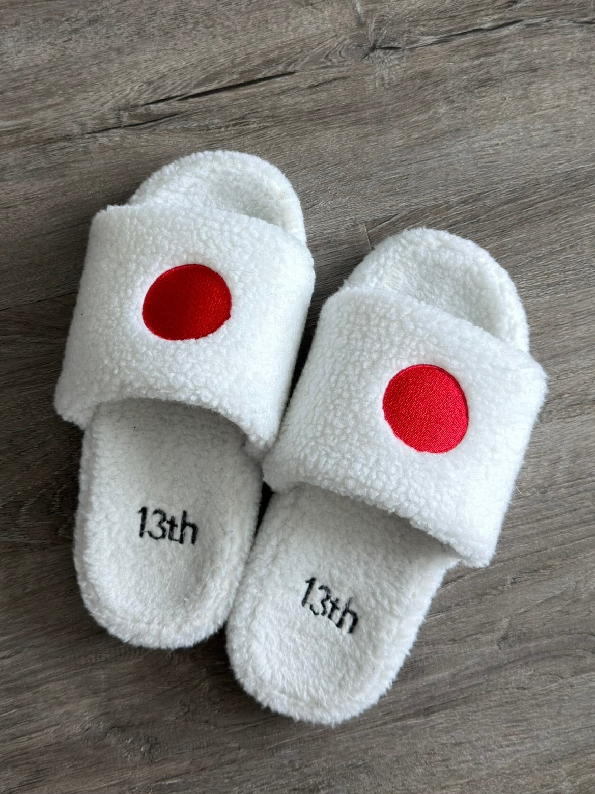 Japan “Lounge” Slides
